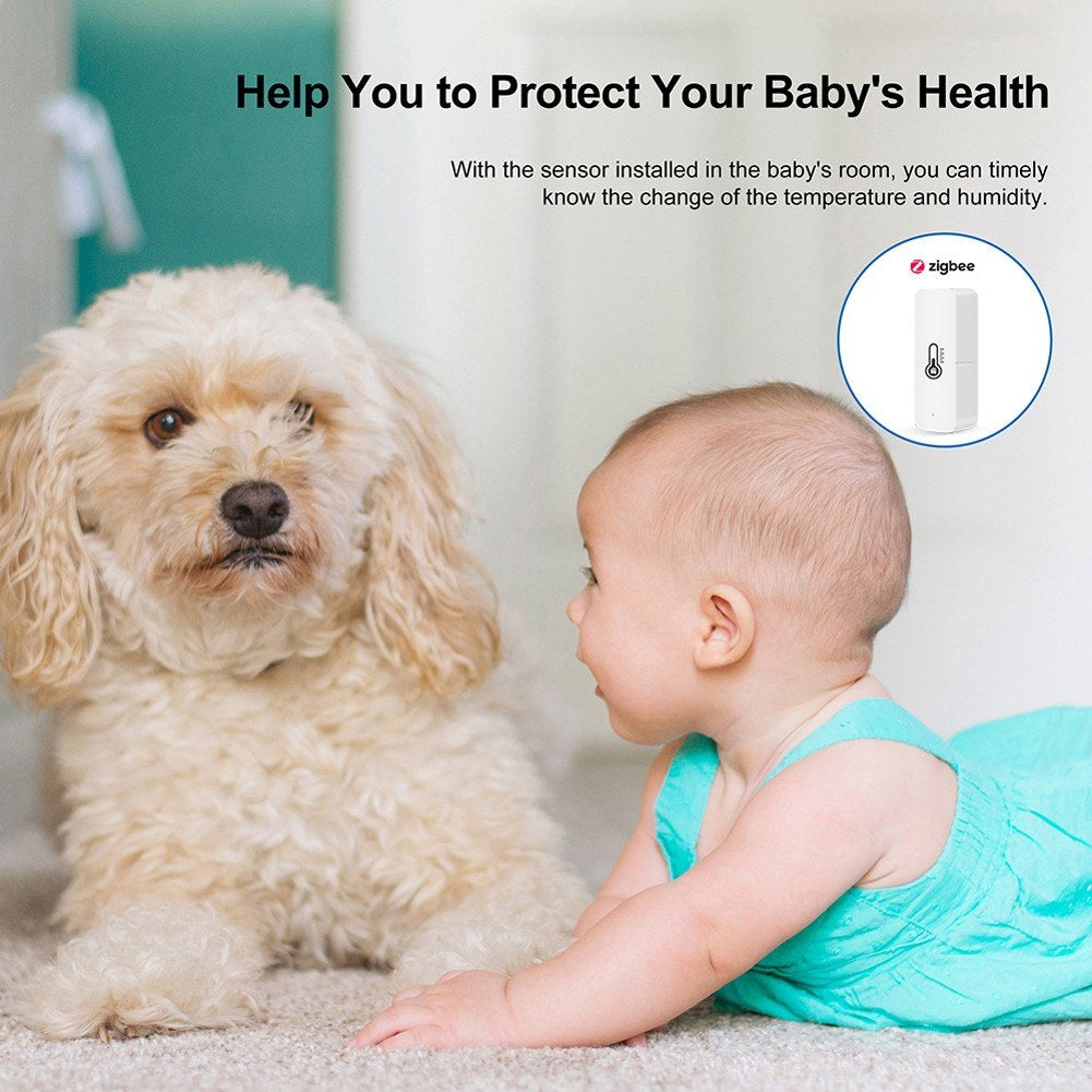 Tuya ZigBee Temperature Humidity Sensors APP Real-time Monitoring Humidity Meter Temperature Monitor Compatible with Alexa Google Tuya ZigBee Temperature Humidity Sensors APP Real-time Monitoring Humidity Meter Temperature Monitor Compatible with Alexa Google